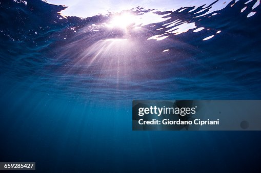 The underwater world of Maldives. The underwater world of Maldives.