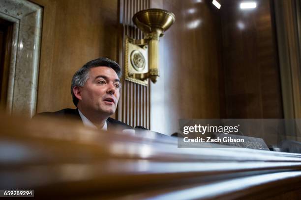 Senate Energy Subcommittee Chairman Sen. Cory Gardner speaks during a Senate Energy Subcommittee hearing discussing cybersecurity threats to the U.S....