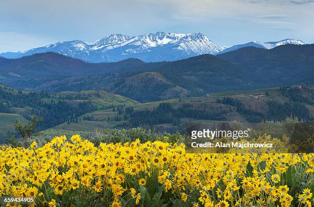 methow valley north cascades - methow valley stock pictures, royalty-free photos & images