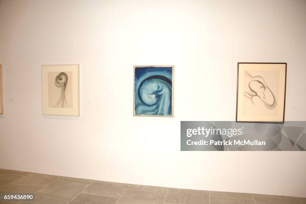 Atmosphere at GEORGIA O'KEEFFE "ABSTRACTION" - Opening Reception and Dinner at The Whitney Museum on September 16, 2009 in New York.