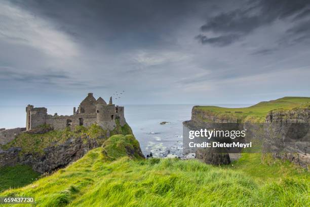 dunluce castle, irlanda - columna de basalto fotografías e imágenes de stock