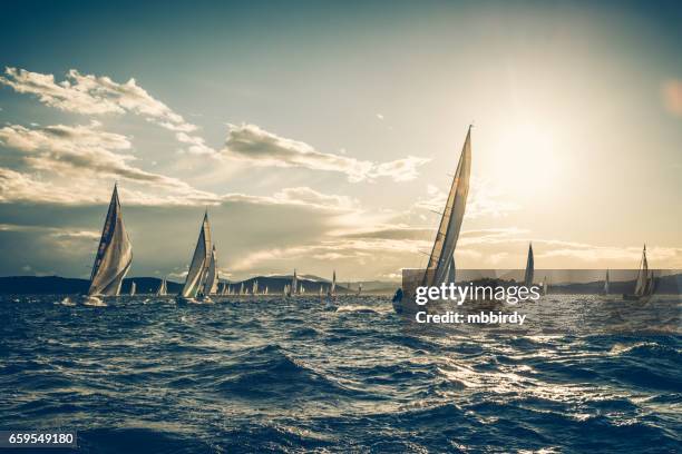 regata velica nella soleggiata mattina d'autunno - squadra di vela foto e immagini stock