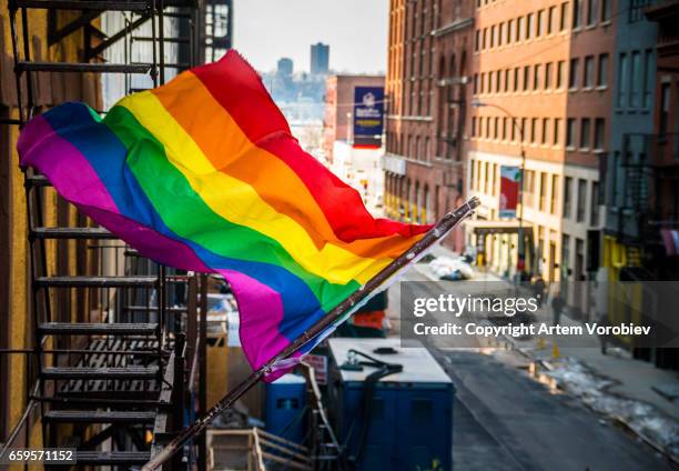 high line park in winter, new york - pride flag stock pictures, royalty-free photos & images