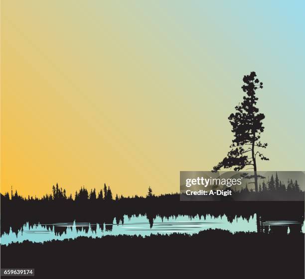 still water forest - lake stock illustrations