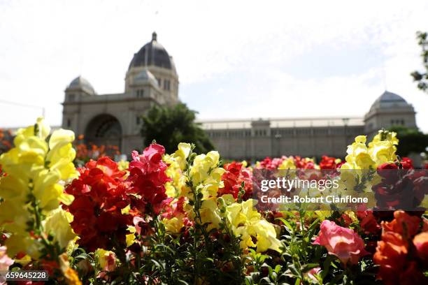 General view of the displays at the Melbourne International Flower and Garden Show on March 29, 2017 at the Royal Exhibiton Building and Carlton...