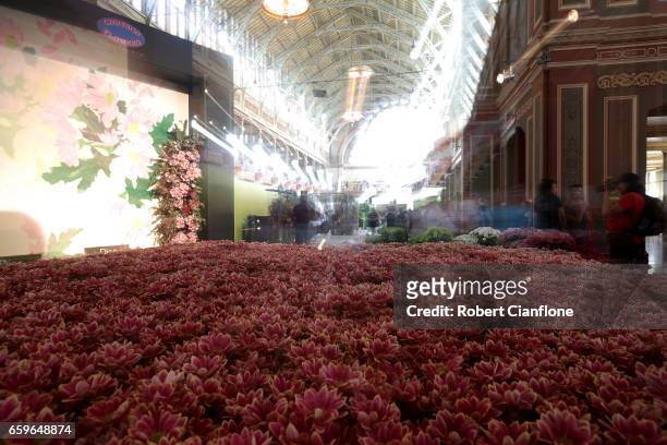 General view of the displays at the Melbourne International Flower and Garden Show on March 29, 2017 at the Royal Exhibiton Building and Carlton...
