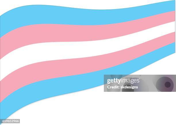 transgender pride flag - transgender awareness week stock illustrations