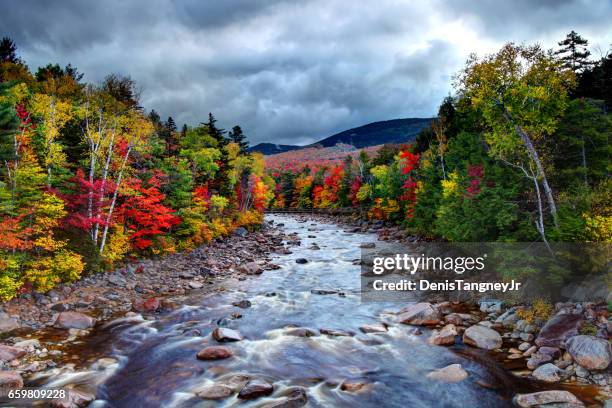 autumn in the white mountains national forest new hampshire - swift river stock pictures, royalty-free photos & images