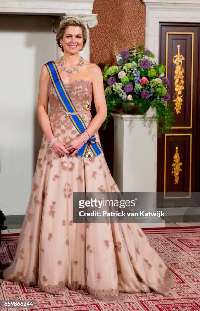 Queen Maxima of The Netherlands pose for an official photo ahead the state banquet for the Argentinean president in Amsterdam on March 27, 2017 in...