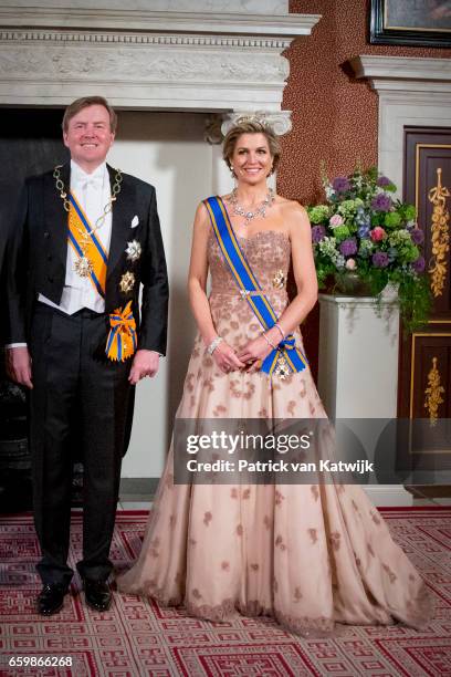 King Willem-Alexander and Queen Maxima of The Netherlands pose for an official photo ahead the state banquet for the Argentinean president in...