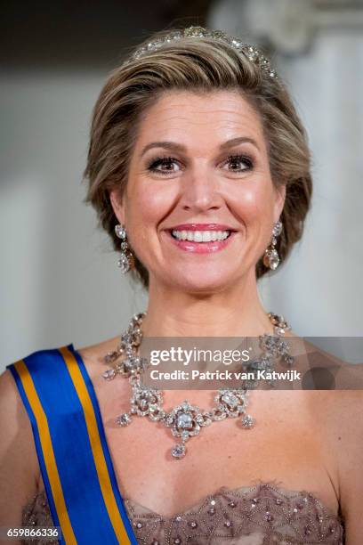 Queen Maxima of The Netherlands pose for an official photo ahead the state banquet for the Argentinean president in Amsterdam on March 27, 2017 in...