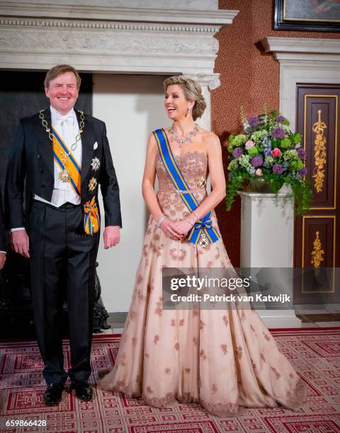 King Willem-Alexander and Queen Maxima of The Netherlands pose for an official photo ahead the state banquet for the Argentinean president in...