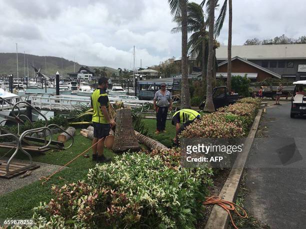 Workers remove a fallen tree on Hamilton Island after strong Cyclone Debbie hit the Whitsundays Islands in Queensland on March 29, 2017. Towns were...