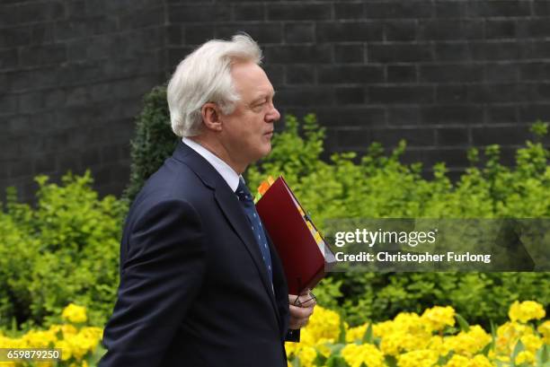 David Davis, Secretary of State for Exiting the European Union departs 10 Downing Street on March 29, 2017 in London, England. Later today British...