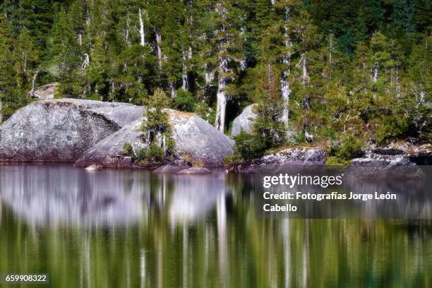 reflections in lake quetrus - américa del sur stock pictures, royalty-free photos & images