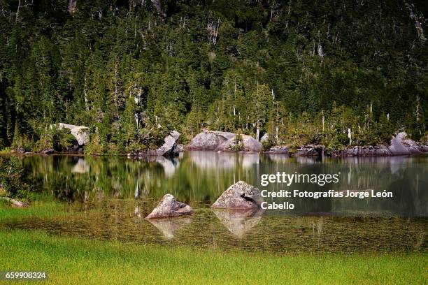 reflections in lake quetrus - américa del sur stock pictures, royalty-free photos & images
