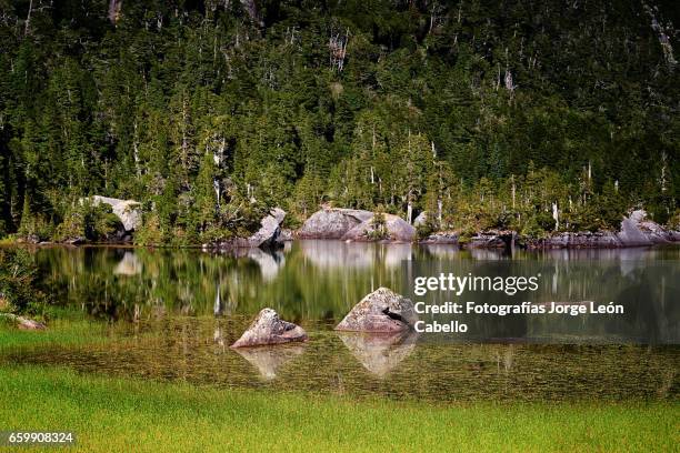 reflections in lake quetrus - tiempo atmosférico 個照片及圖片檔