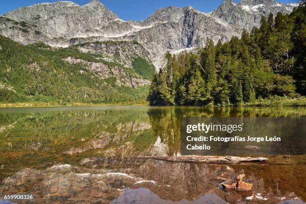 lake quetrus edge under clear sky - américa del sur ストックフォトと画像