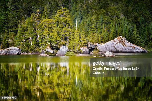 reflections in lake quetrus - américa del sur ストックフォトと画像