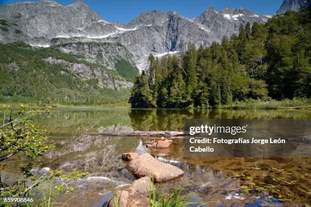 lake quetrus edge under clear sky - américa del sur ストックフォトと画像