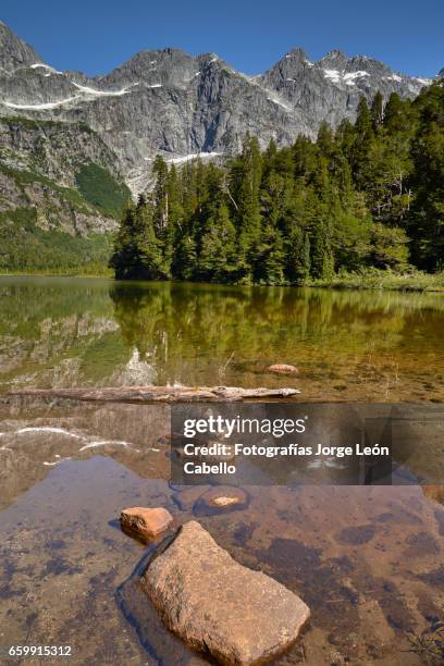 lake quetrus edge under clear sky - américa del sur stock pictures, royalty-free photos & images