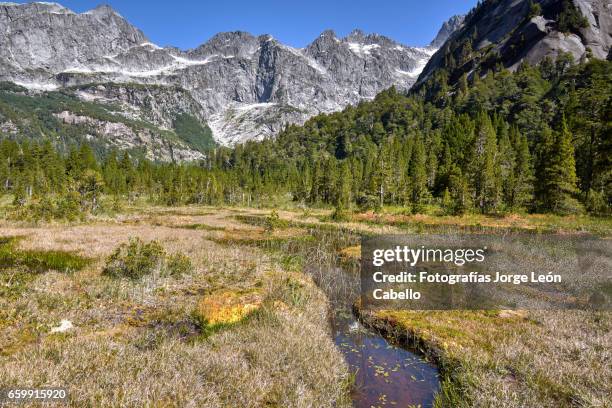 wetlands in lake quetrus area and patagonian andes - tiempo atmosférico stockfoto's en -beelden