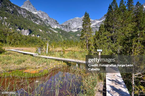 boardwalk over wetlands in lake quetrus area - tiempo atmosférico 個照片及圖片檔