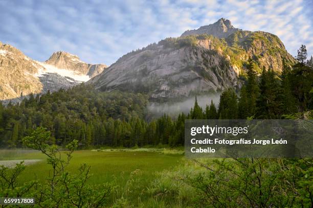 lake quetrus early light and forest - troncos stock pictures, royalty-free photos & images