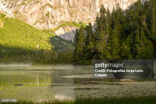 lake quetrus early light and forest - tiempo atmosférico stockfoto's en -beelden