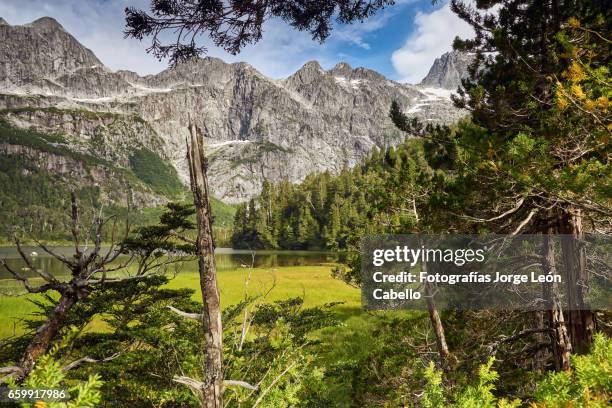 lake quetrus  view from the forest and patagonian andes - tiempo atmosférico 個照片及圖片檔