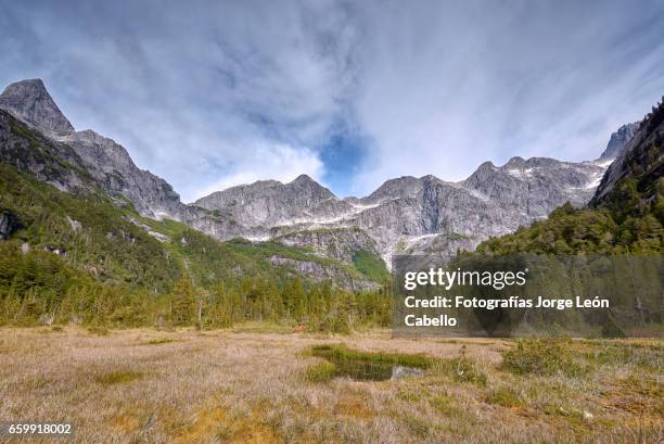 wetlands in lake quetrus area and patagonian andes - tiempo atmosférico stockfoto's en -beelden