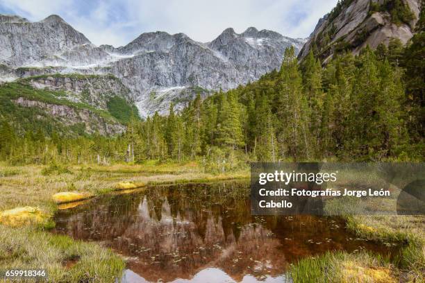 colorful pond in wetlands of lake quetrus area and patagonian andes - américa del sur stock pictures, royalty-free photos & images