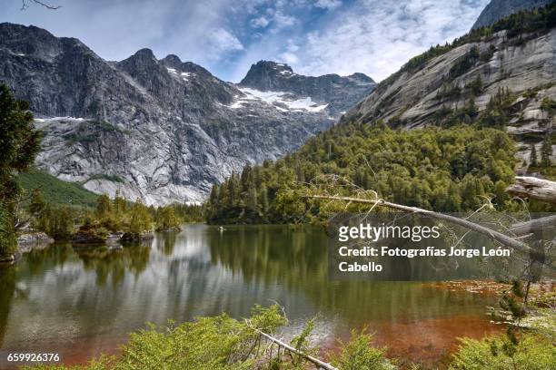 lake quetrus  view and patagonian andes - troncos stock pictures, royalty-free photos & images