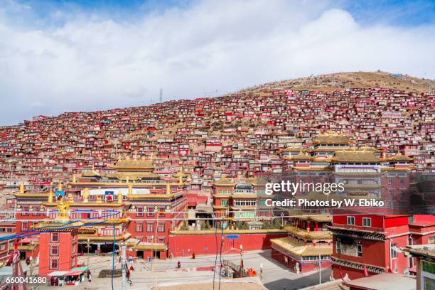 larung gar monastry - 僧院 stock pictures, royalty-free photos & images