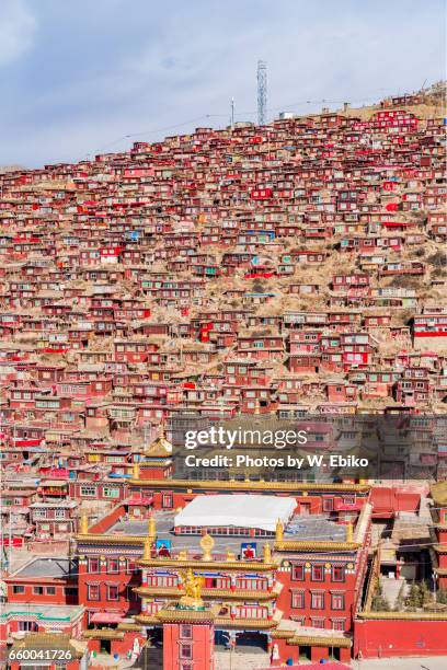 larung gar monastry - 僧院 stock pictures, royalty-free photos & images