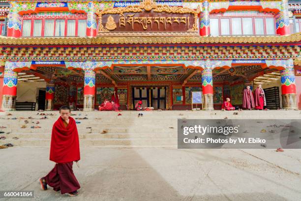 larung gar monastry - 僧 - fotografias e filmes do acervo