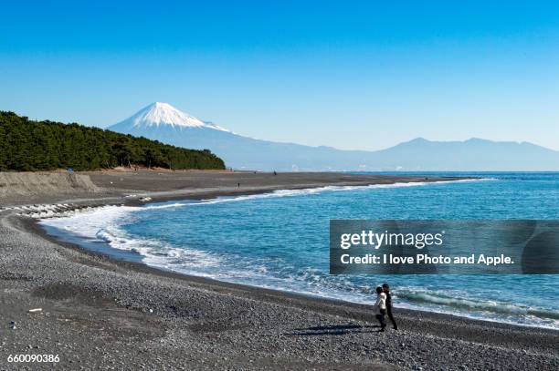 fuji view from the coast of miho - 波 foto e immagini stock