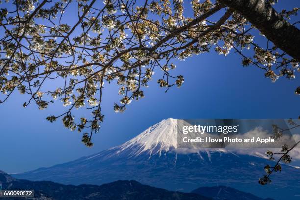 fuji view from nihondaira - 静岡県 stockfoto's en -beelden