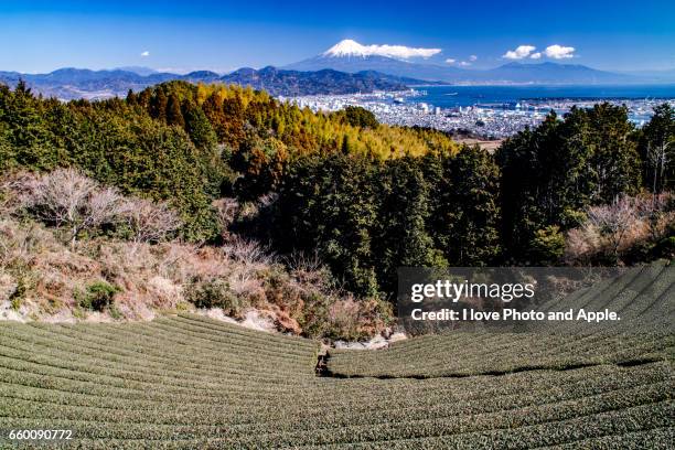 fuji view from nihondaira - 静岡県 stock-fotos und bilder