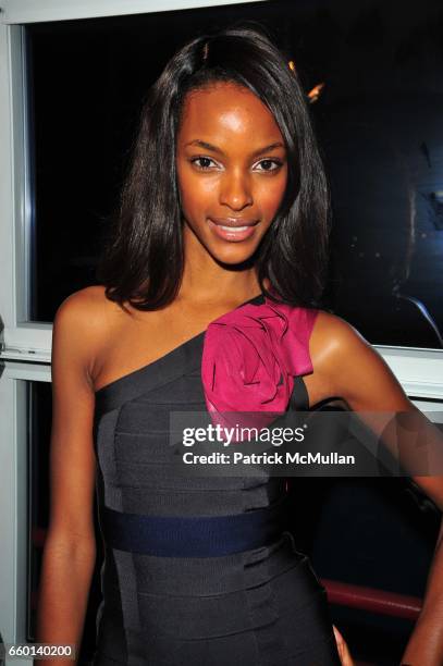 Quiana Grant attends Muscular Dystrophy Association 12th Annual Muscle Team Gala and Benefit Auction at Pier 60 on January 6, 2009 in New York City.