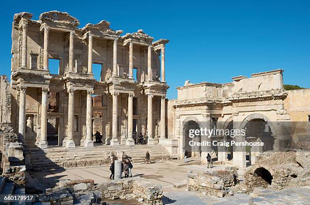 Celcus Celcus Photos and Premium High Res Pictures - Getty Images