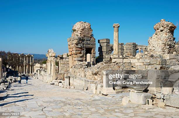 Celcus Celcus Photos and Premium High Res Pictures - Getty Images