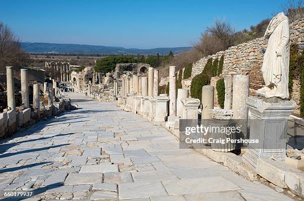 Celcus Celcus Photos and Premium High Res Pictures - Getty Images