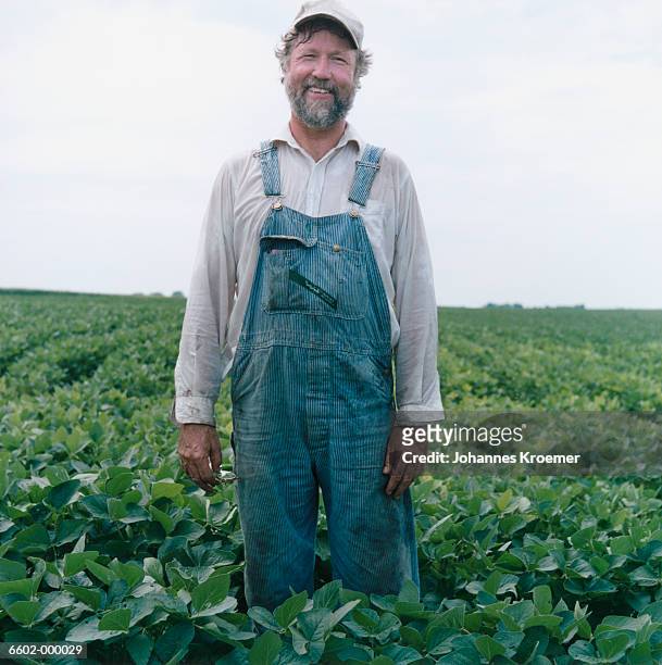 farmer in soybean field - salopette foto e immagini stock