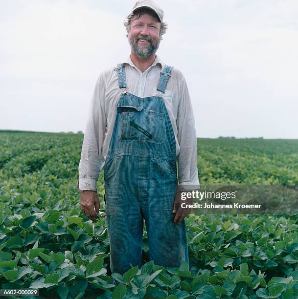 farmer in soybean field - rural iowa stock pictures, royalty-free photos & images