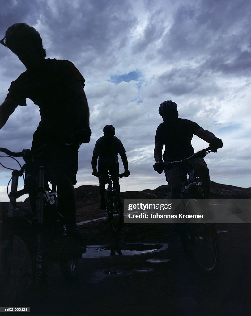 Three Mountain Bikers