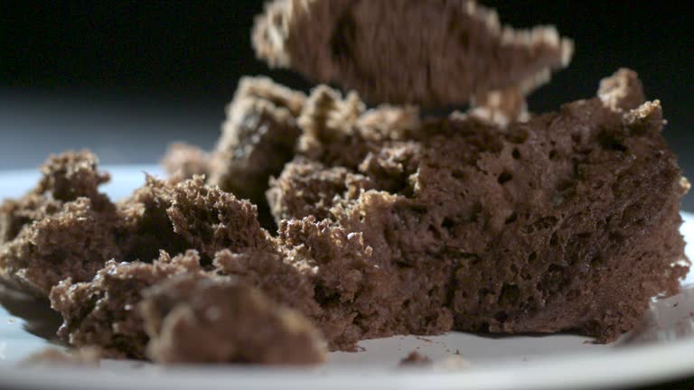 Cake Fallen In 64 Crumb Cake Chocolate Stock Videos, Footage, & 4K Video Clips - Getty ...