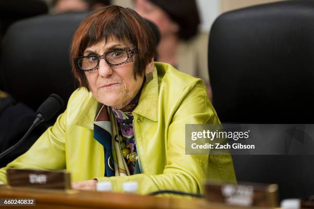 House Labor Health and Human Services, Education, and Related Agencies Subcommittee ranking member Rosa DeLauro attends a Senate Energy Subcommittee...