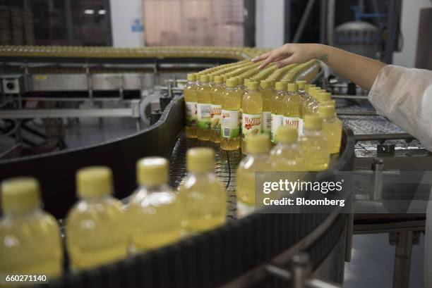 Bottles Empresas Polar SA Mazeite brand corn oil move along a conveyor belt at the company's processing and distribution facility in Turmero,...