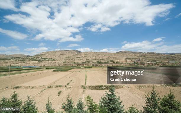 the loess plateau of china - shaanxi province east central china stock pictures, royalty-free photos & images